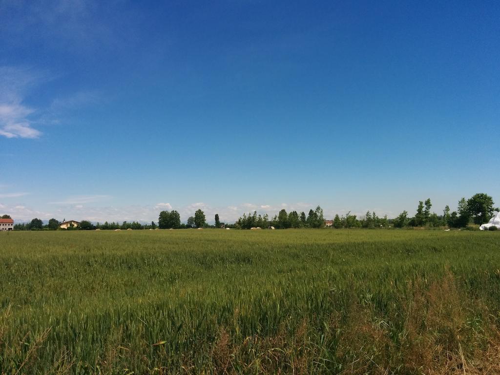 Agriturismo La Chioccia Кампанья-Лупия Экстерьер фото
